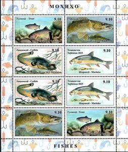 Full Pane, Fish, Tajikistan,  , Fishes