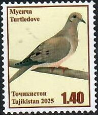 Turtle dove (Streptopelia turtur)