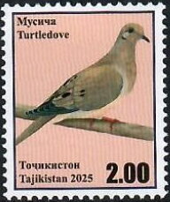 Stamp, Turtle dove (Streptopelia turtur), Tajikistan,  , Birds