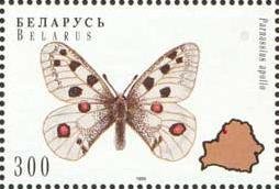 Stamp, Apollo (Parnassius apollo), Belarus,  , Insects, Butterflies