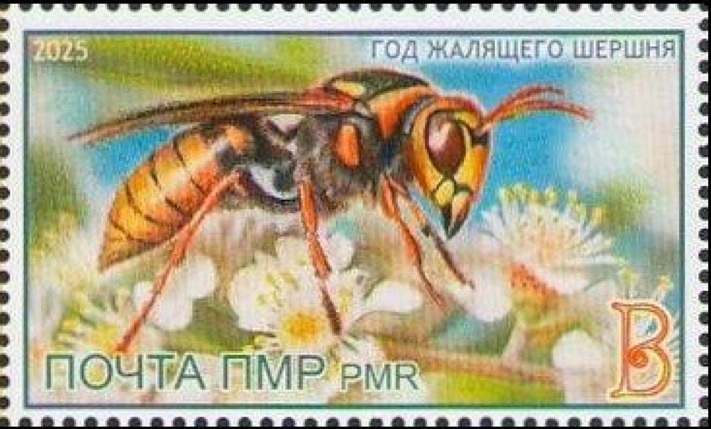 Year of the Hornet