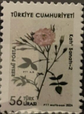 Katı Artwork