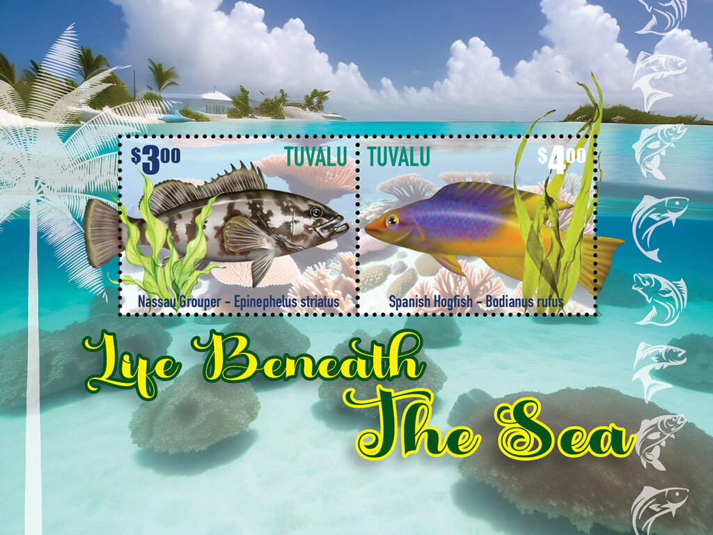 Life Beneath the Sea