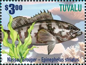 Stamp, Nassau Grouper (Epinephelus striatus), Tuvalu,  , Animals (Fauna), Fishes, Sea Life
