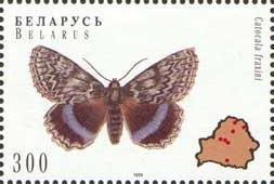 Stamp, Clifden Nonpareil (Catocala fraxini), Belarus,  , Insects, Butterflies
