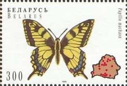 Stamp, Swallowtail (Papilio machaon), Belarus,  , Insects, Butterflies