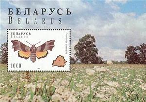 Souvenir Sheet, Willowherb Hawk-moth (Proserpinus proserpina), Belarus,  , Insects, Butterflies
