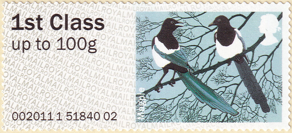 Eurasian Magpie (Pica pica)