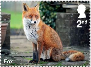 Stamp, Fox, United Kingdom of Great Britain & Northern Ireland,  , Animals (Fauna), Foxes, Mammals