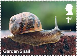 Stamp, Garden Snail, United Kingdom of Great Britain & Northern Ireland,  , Animals (Fauna), Snails and Slugs