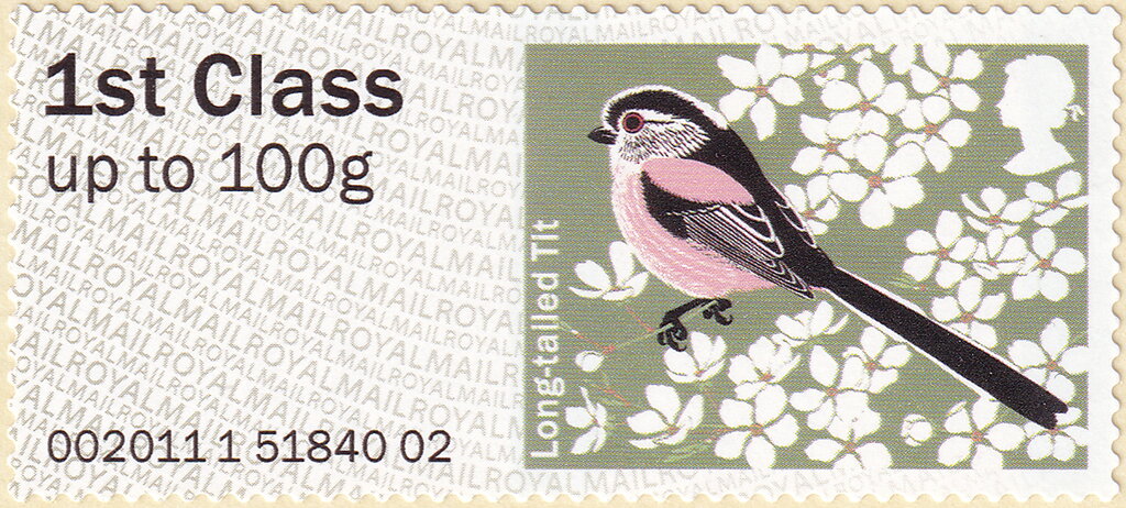 Long-tailed Tit (Dendrobates tinctorius)