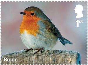 Stamp, Robin, United Kingdom of Great Britain & Northern Ireland,  , Animals (Fauna), Birds