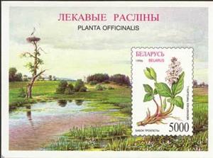 Souvenir Sheet, Menyanthes trifoliata, Belarus,  , Flowers, Plants (Flora)