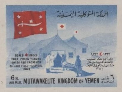Medical Facility and Flag