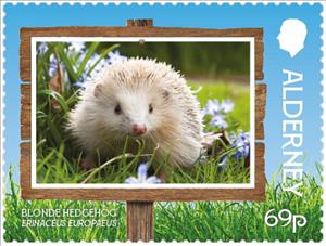 Stamp, Blonde Hedgehog (Erinaceus europaeus), Alderney,  , Animals (Fauna), Hedgehogs, Mammals