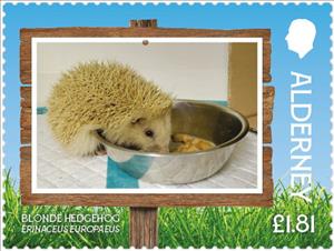 Stamp, Blonde Hedgehog (Erinaceus europaeus), Alderney,  , Animals (Fauna), Hedgehogs, Mammals