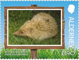 Stamp, Blonde Hedgehog (Erinaceus europaeus), Alderney,  , Animals (Fauna), Hedgehogs, Mammals