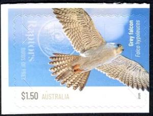 Stamp, Grey Falcon (Falco hypoleucos), Australia,  , Animals (Fauna), Birds, Birds of Prey, Falcons