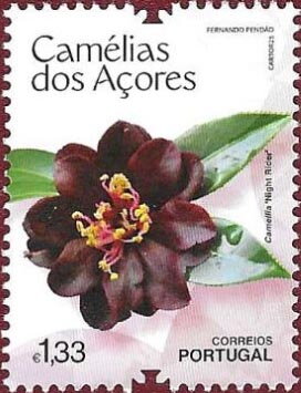 Stamp, Camellia 'Night Rider', Azores,  , Flowers