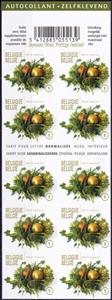 Booklet Pane, Booklet Christmas & New Year Inland, Belgium,  , Christmas