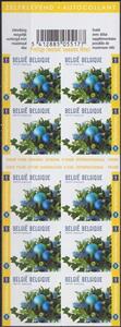 Booklet Pane, Booklet Christmas & New Year International, Belgium,  , Christmas