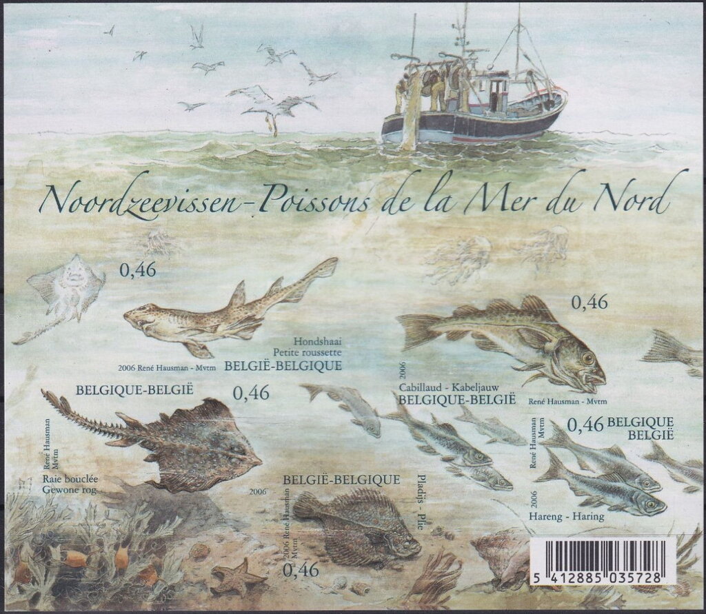 Nature - North Sea Fish