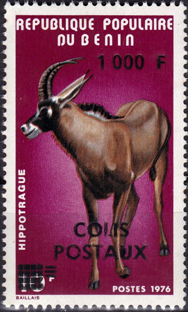 Roan Antelope (Hippotragus equinus)
