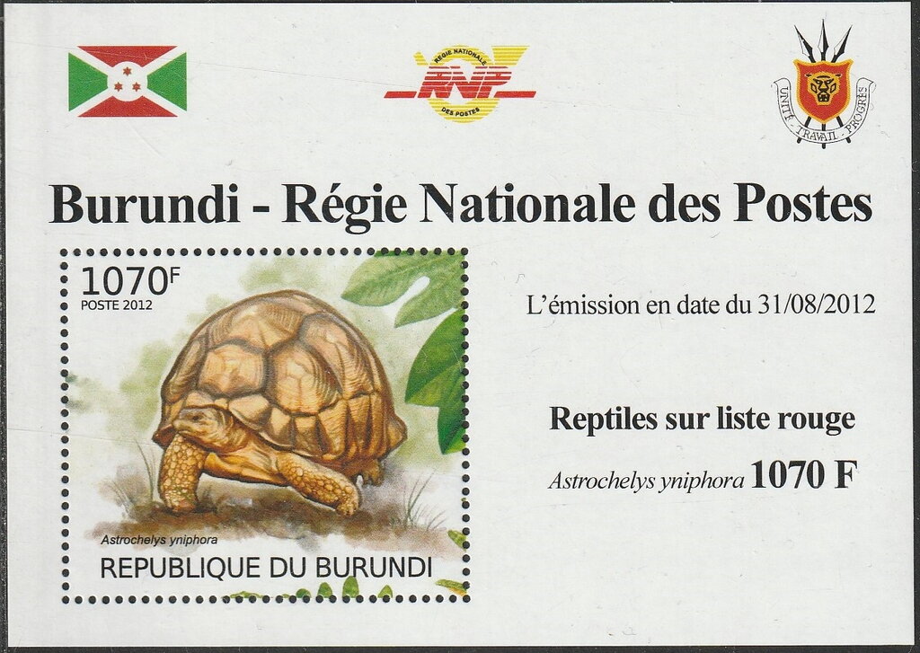 Astrochelys yniphora