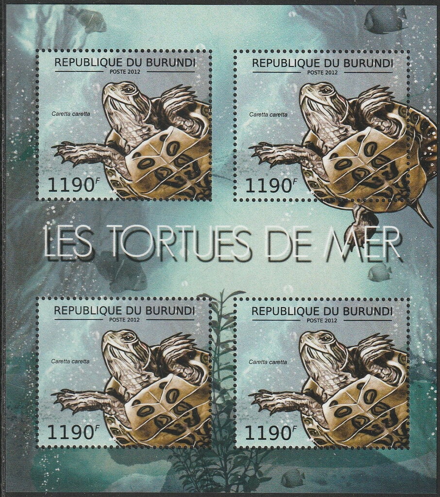 Caretta caretta