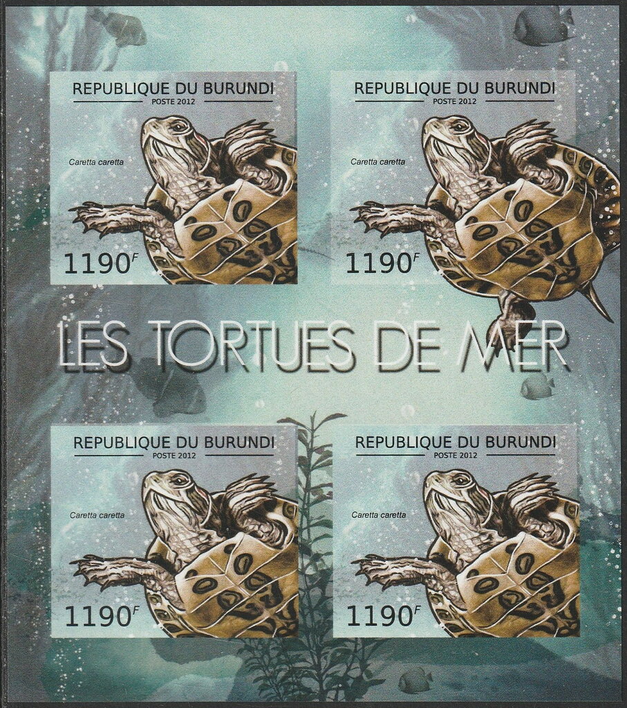 Caretta caretta