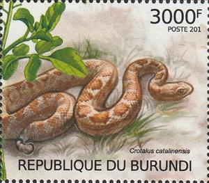 Stamp, Crotalus catalinensis, Burundi,  , Animals (Fauna), Reptiles, Snakes