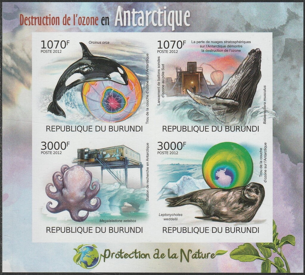 Destruction of the Antarctic