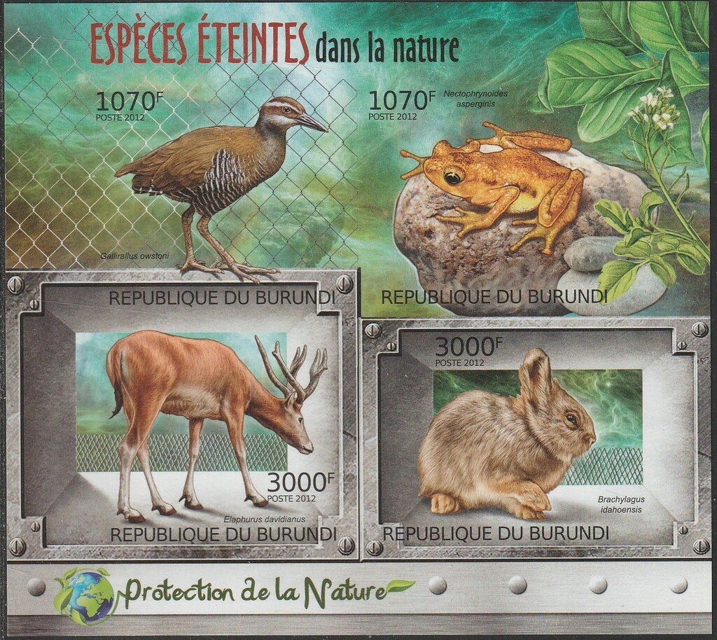 Extinct Species in the Nature
