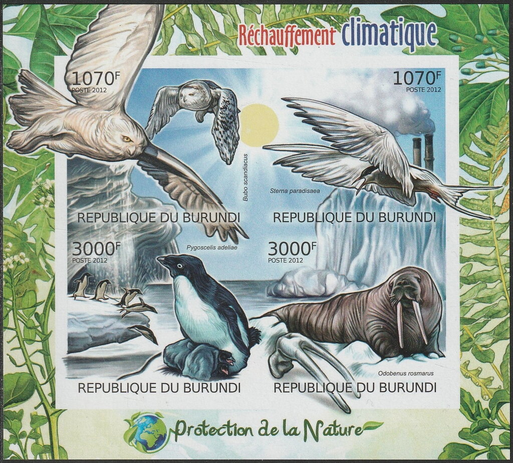 Fauna and Climate Warming