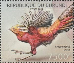 Stamp, Golden Pheasant (Chrysolophus pictus), Burundi,  , Animals (Fauna), Birds, Pheasants
