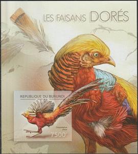 Souvenir Sheet, Golden Pheasant (Chrysolophus pictus), Burundi,  , Animals (Fauna), Birds, Pheasants