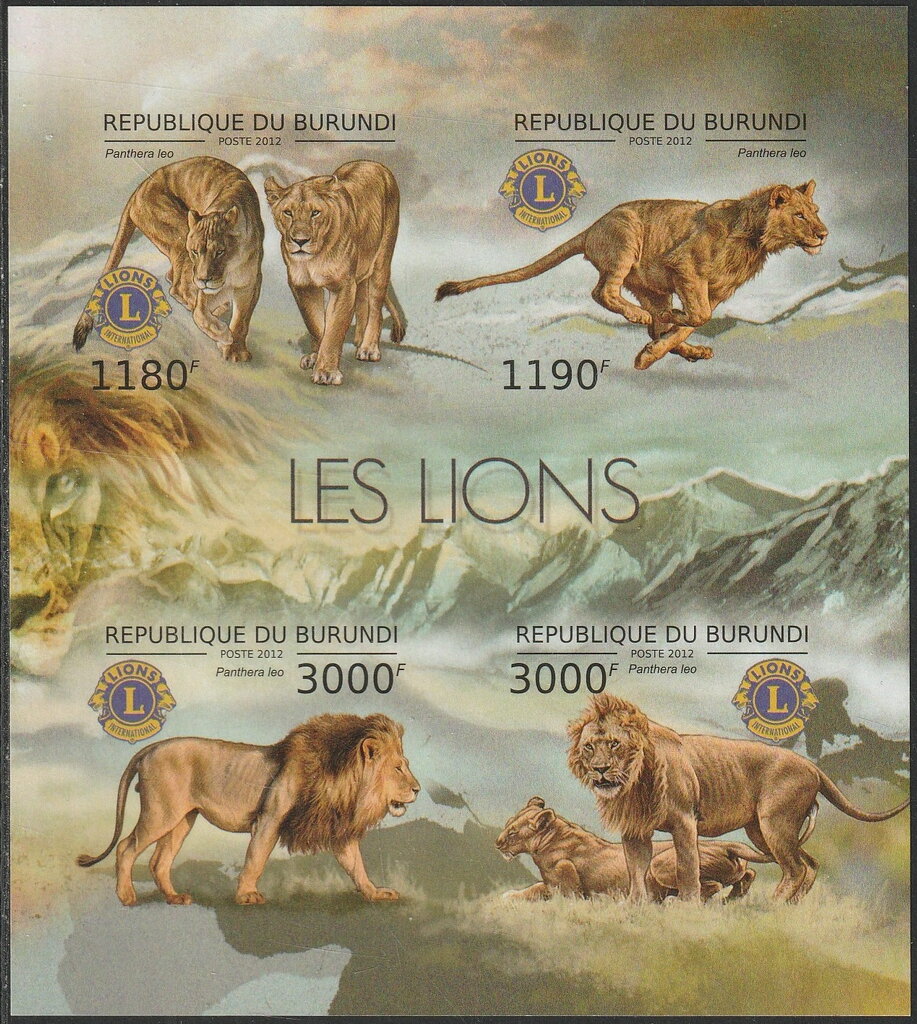 Lion (Panthera leo)