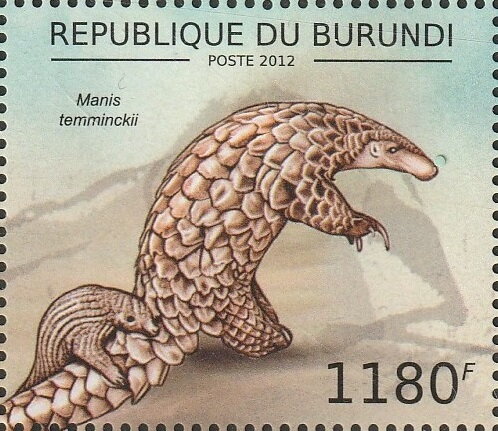 Manis temminckii