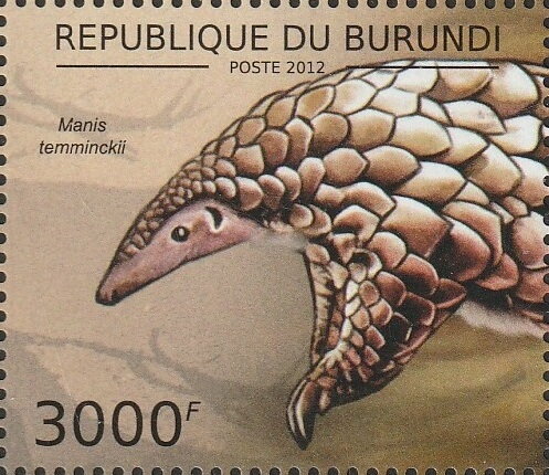 Manis temminckii