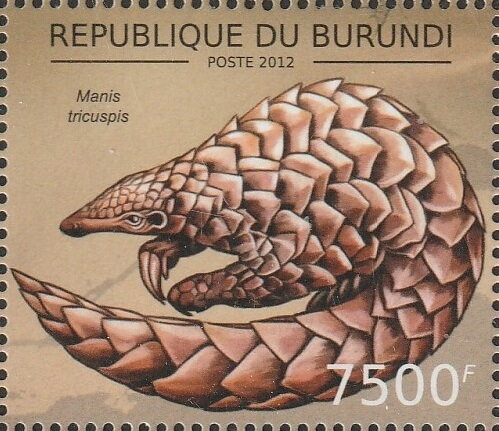 Manis tricuspis