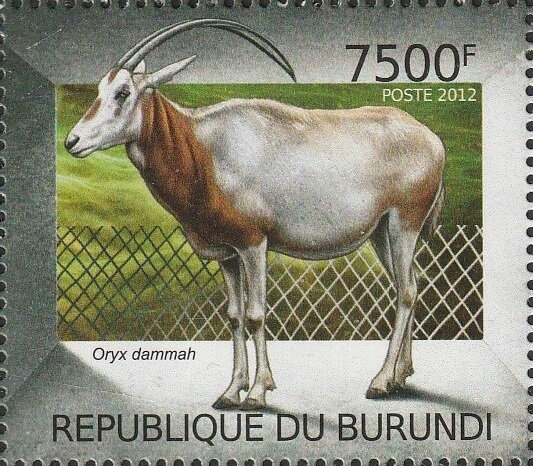 Oryx dammah