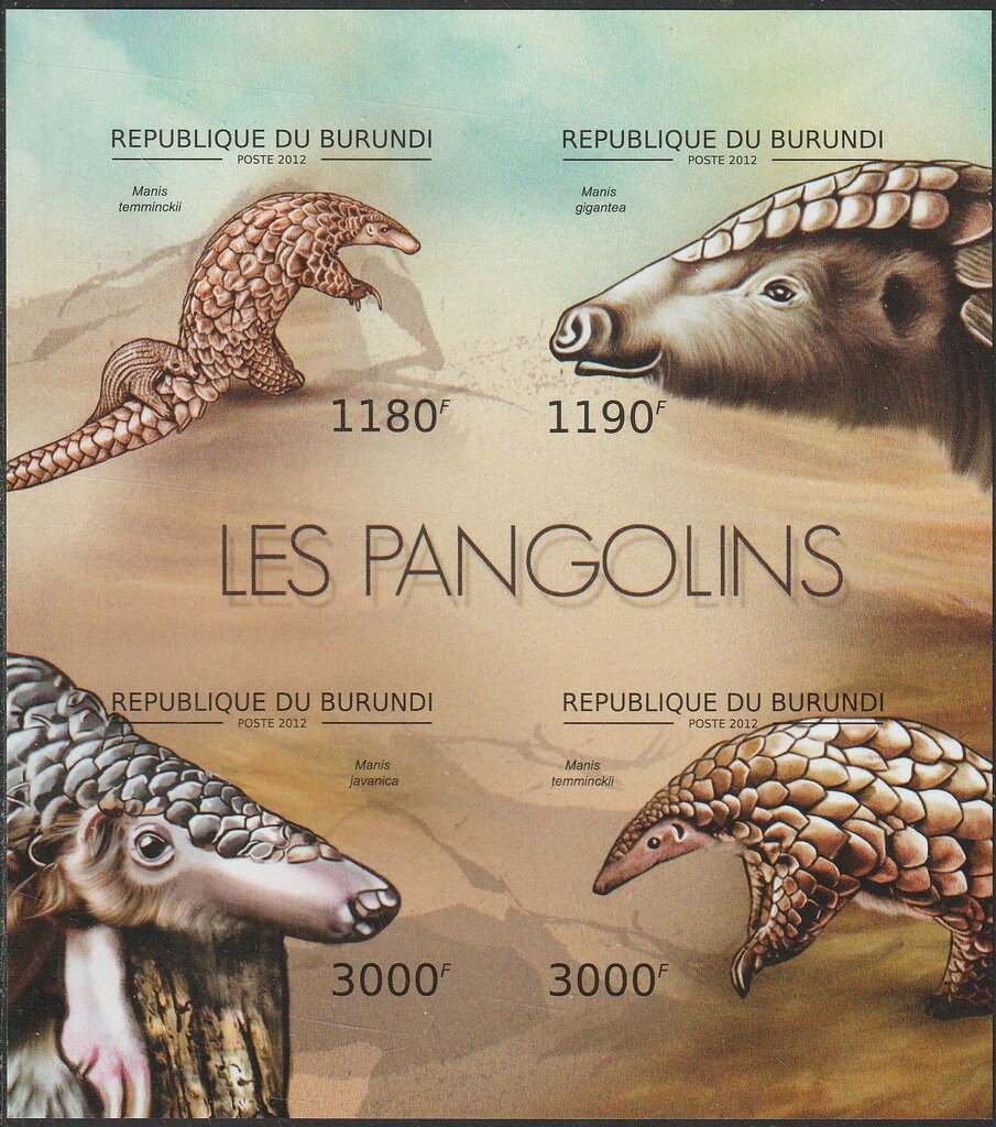 Pangolins