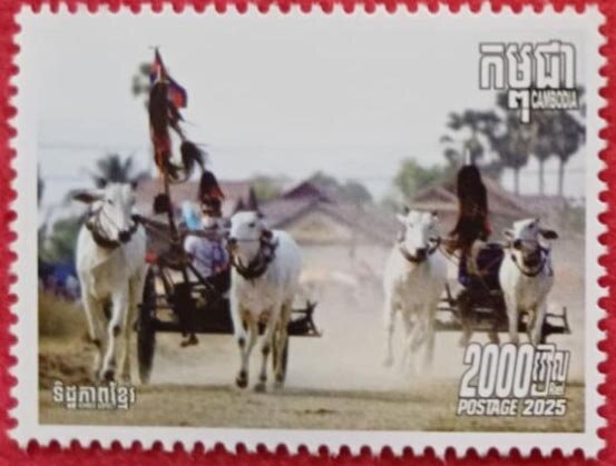 Salai Ko Luen Chariot Race