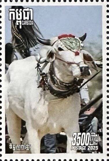 Salai Ko Luen Chariot Race