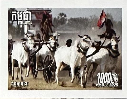 Salai Ko Luen Chariot Race
