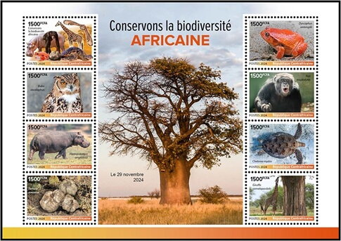 African Biodiversity