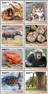 African Biodiversity