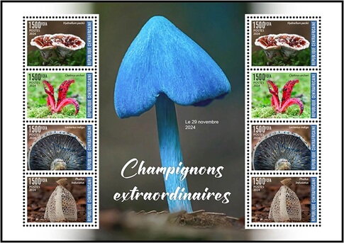 Amazing Mushrooms