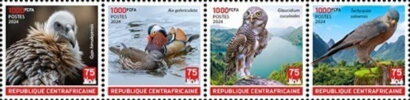 Birds of China