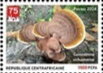Lingzhi (Ganoderma sichuanense)